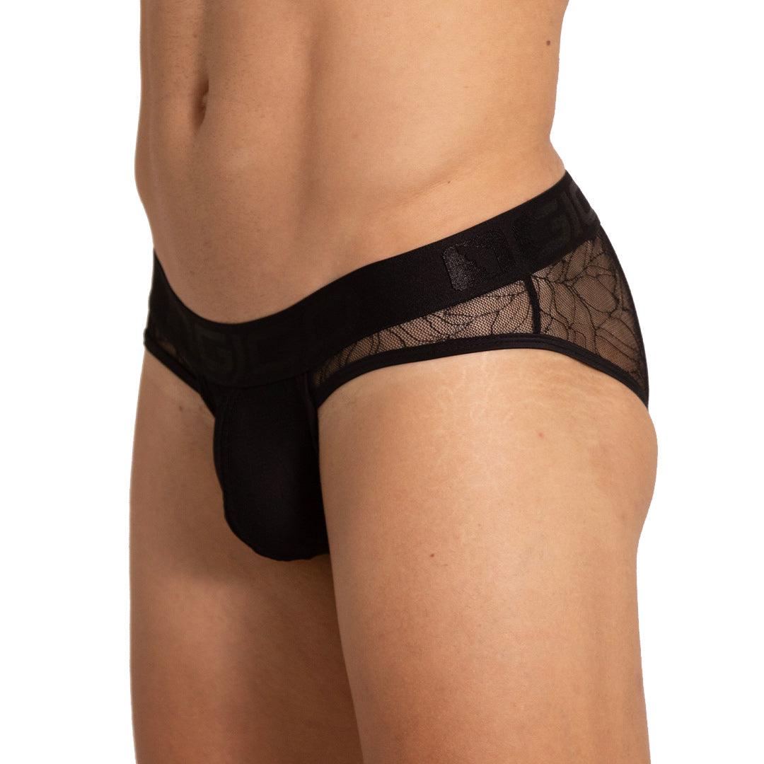 AMAZONIA BRIEF