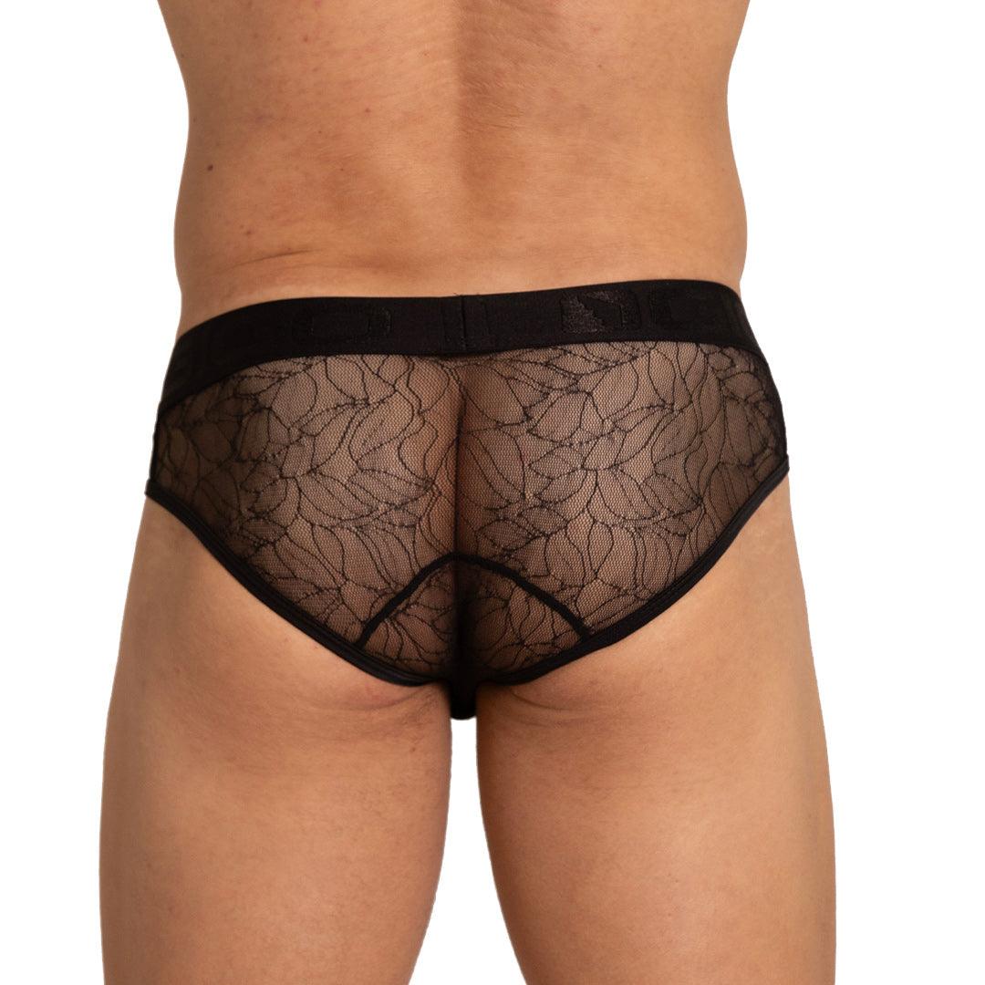 AMAZONIA BRIEF