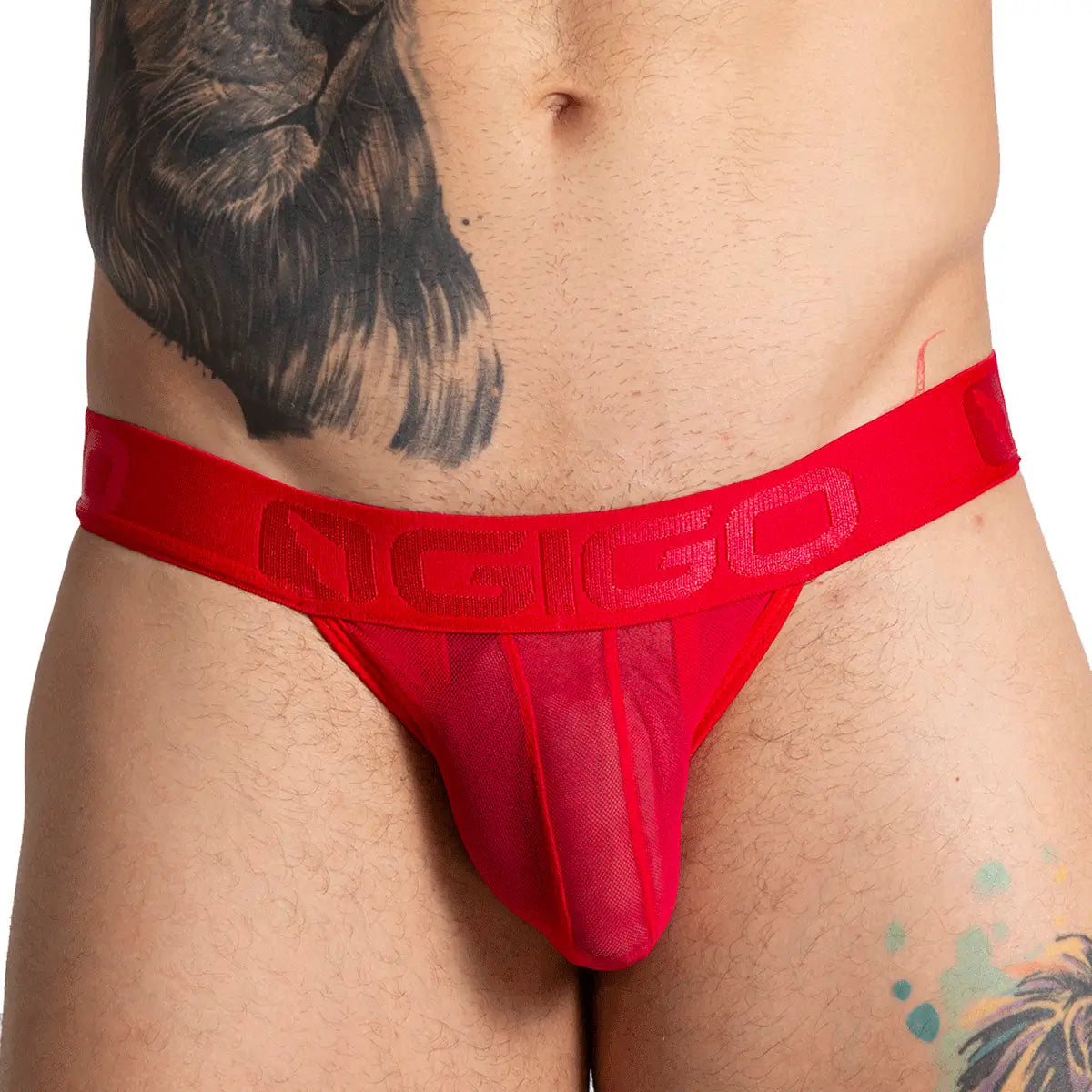 BAHIA RED BRIEF