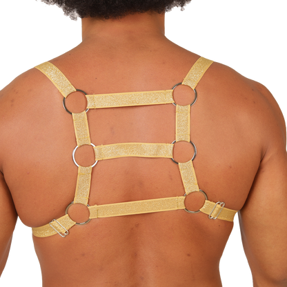 HIT GOLD HARNESS - Gigo Underwear & MensWear
