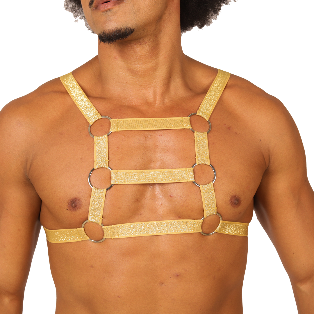 HIT GOLD HARNESS - Gigo Underwear & MensWear