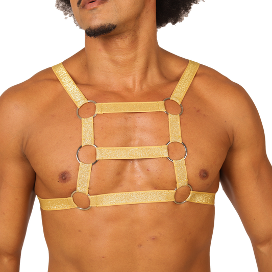HIT GOLD HARNESS - Men's Fetish Harness with Bold Design