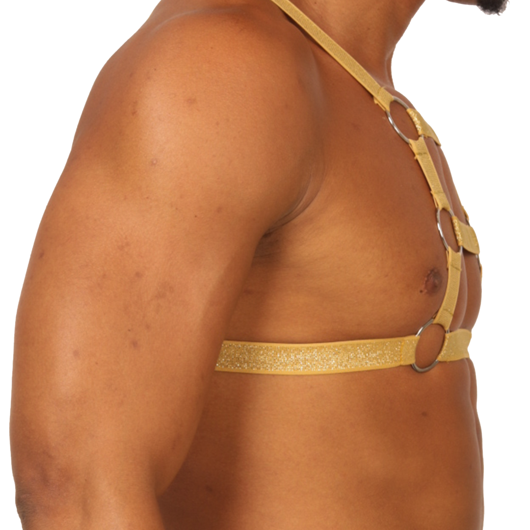 HIT GOLD HARNESS - Gigo Underwear & MensWear