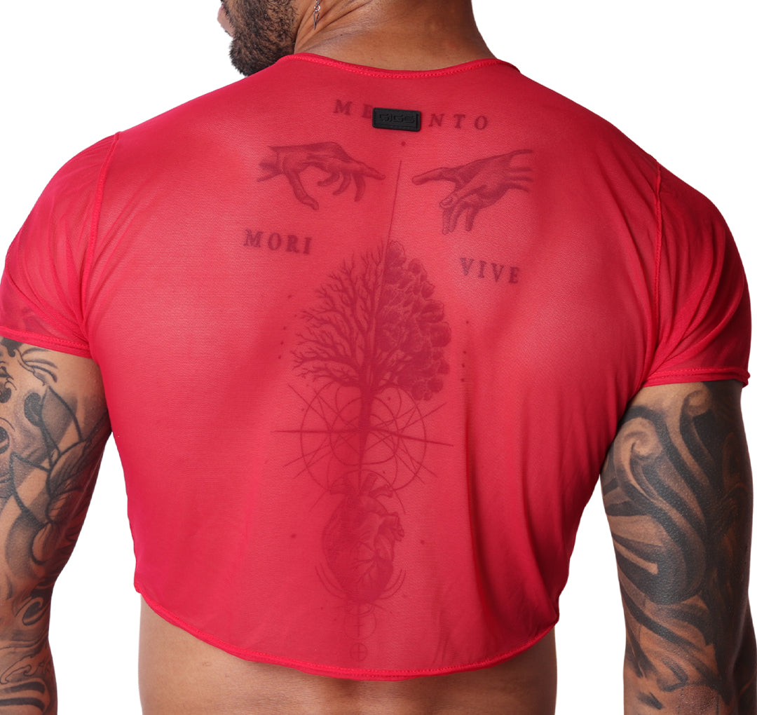 Spectrum Red Crop Top back view by Gigo Underwear