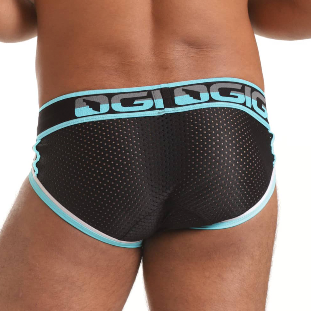 VERSATIL BLUE BRIEF