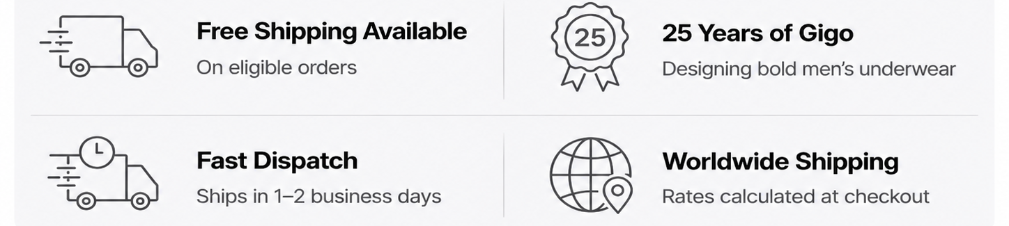 A 2x2 infographic on shipping benefits with black line icons and text on a light gray background: free shipping on eligible orders, secure encrypted payment, fast dispatch, and worldwide shipping.